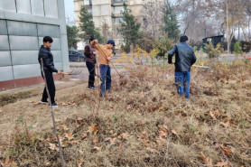 ШАНБЕГИИ ДАСТАҶАМЪОНА