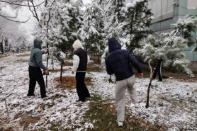 ШАНБЕГИИ ДАСТАҶАМЪОНА