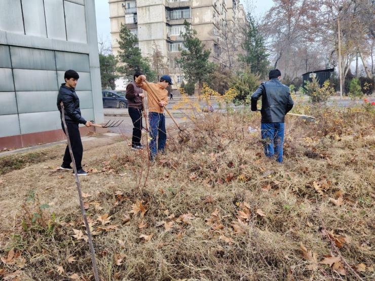 ШАНБЕГИИ ДАСТАҶАМЪОНА